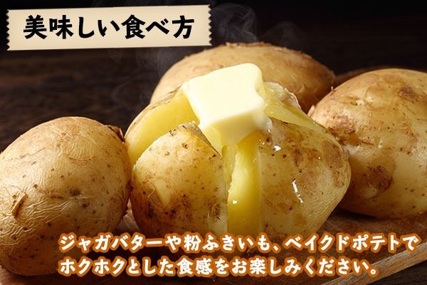 【CF2】北海道 じゃがいも 男爵 10kg 北海道産 十勝産 男爵芋 男爵イモ 男爵薯 ジャガイモ 芋 いも ポテト お取り寄せ まとめ買い 送料無料 十勝 士幌町【V03】