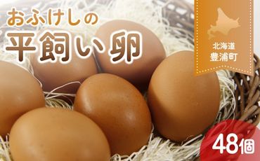 北海道 豊浦 おふけしの平飼い卵 48個 TYUZ003