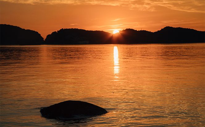 宿泊 グランピング 型 リゾート 「SETONITE」 ギフト チケット 20,000円分 旅行 岡山 玉野 食事付 宿泊券 旅行券 施設利用券 ギフトチケット 20000円 