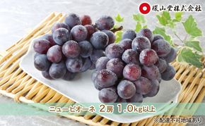 ぶどう 2027年 先行予約 秋のニューピオーネ 2房 1.0kg以上 ブドウ 葡萄  岡山県産 国産 フルーツ 果物 ギフト 環山堂