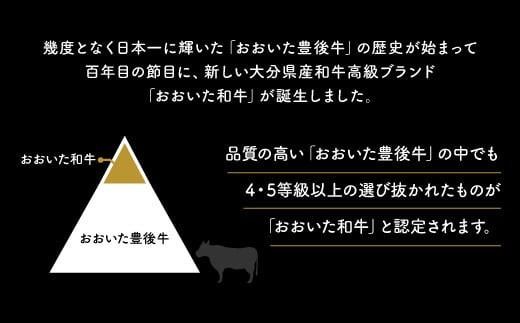ヒレステーキ 冷蔵 約150g×1枚（計150g）  おおいた和牛 ヒレ ステーキ 黒毛和牛 真空包装 九州 和牛 国産 牛肉 【スピード発送】