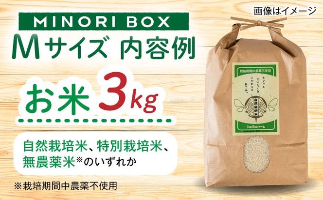 【全12回定期便】糸島産 魚 米 野菜 果物 厳選詰め合わせ MINORI BOX Mサイズ 糸島市 / emma.Inc / 米 魚 野菜 果物 詰め合わせ[AOP026]