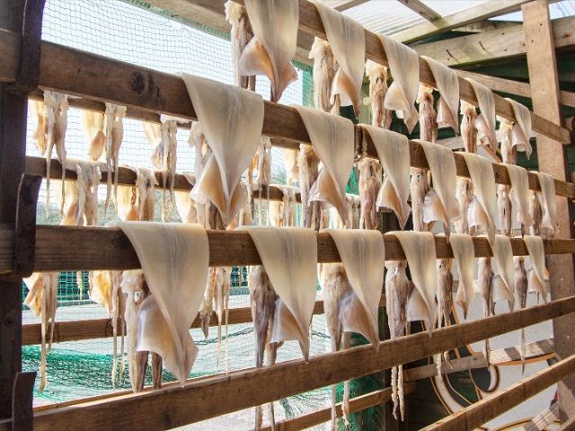 わさおの店の炭火焼きいか 5パック 200g以上×5枚 魚貝類 イカ 加工食品 