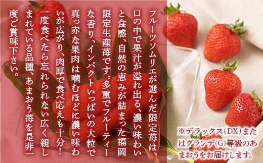 福岡産あまおう＆ふくや味の明太子540g 先行予約※2024年11月下旬～2025年4月上旬にかけて順次発送予定 　AX030