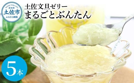 土佐文旦ゼリー『まるごとぶんたん』お試し5本セット ゼリー飲料 ぜりー ブンタン ぶんたん フルーツ 果物 柑橘 みかん お菓子 おかし おやつ デザート スイーツ【土佐文旦産直協同組合】 [BQAH005]