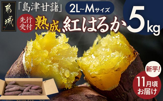 先行受付!【11月お届け】島津甘藷　熟成紅はるか 5kg(2L～M)_LE-A7-001-5kg-11