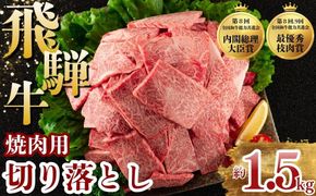 飛騨牛 焼肉 切り落とし 1.5kg | 牛肉 肉 切落し 飛騨牛 訳あり 訳アリ わけあり ワケアリ 不揃い 冷凍 まるたか 食品 バーベキュー BBQ 家用 家庭用 岐阜 瑞穂市