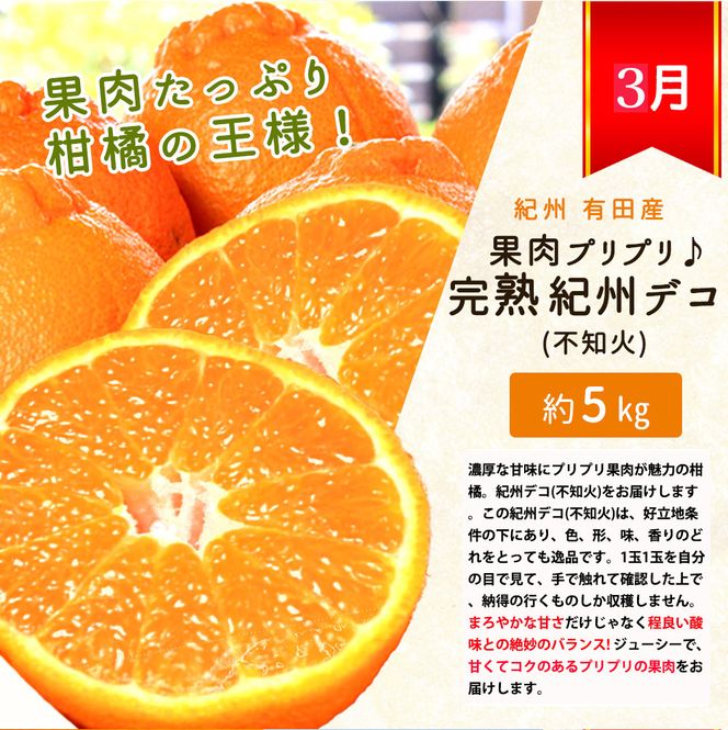 【発送月固定定期便】紀州和歌山産旬のフルーツセット(いちご4P・ポンカン・紀州デコ約5kg)全3回 【tkb450】 