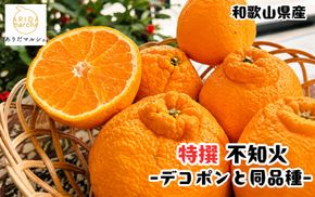 特撰 濃厚 不知火 ( デコポン と同品種)( 訳あり 家庭用 )  約5kg+200g(傷み補償分) ※2027年1月下旬～3月下旬に順次発送【ard259】