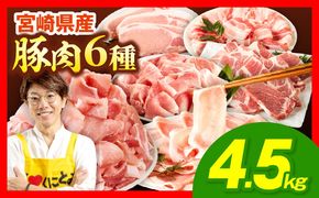 豚肉バラエティー詰合せセット【4.5kg】豚肉 豚肉詰め合わせ セット 小間切れ ウデ モモ スライス ロース バラ 肩ロース とんかつ 冷しゃぶ 豚汁 生姜焼き 国産 プレゼント 贈答 贈り物 ギフト_kn085-013-01