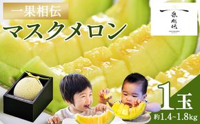 一果相伝マスクメロン1玉入り tn-0010