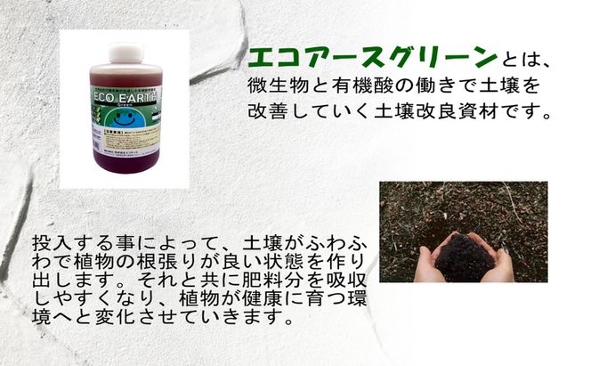土壌改良材 エコアースグリーン 1000ml 1L 1本