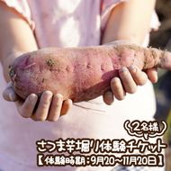 さつま芋堀り体験チケット2名様 【体験時期：9月20～11月20日】