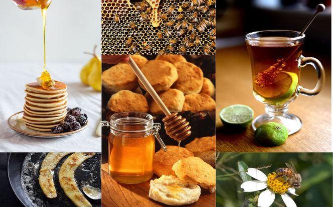 うるま市で採れた「サシ草はちみつ」230g×5本セット