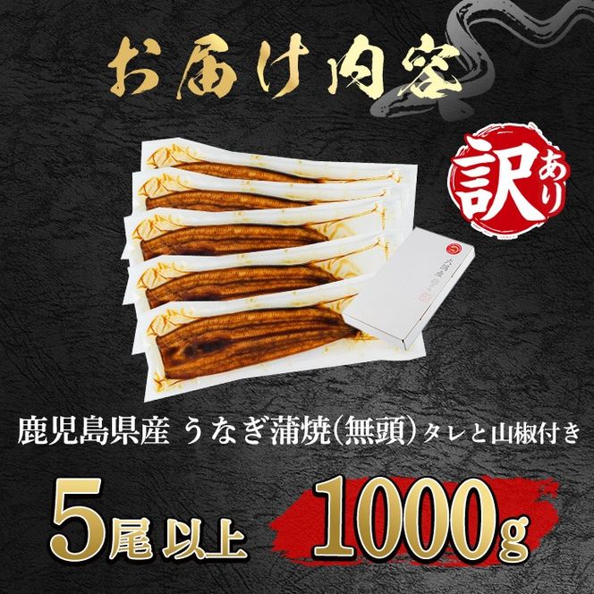 【0254362a】＜訳あり＞東串良町のうなぎ蒲焼(無頭)(5尾以上・計約1kg・タレ、山椒付) うなぎ 高級 ウナギ 鰻 国産 蒲焼 蒲焼き たれ 鹿児島 ふるさと 人気【アクアおおすみ】
