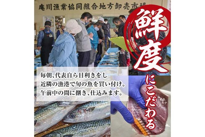 カマ 干物 セット 合計約1.2kg(5個) タイ カンパチ ブリ 詰め合わせ ひもの 焼き魚 鮮魚 専門店 魚屋 ソフト おかず お惣菜 【YS-8】【株式会社安田】