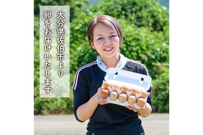 ＜定期便・全3回＞産直・平飼い有精卵 (総計90個・30個×3回(4ヶ月おき発送)) 卵 玉子 卵かけご飯 玉子焼き 平飼い 鶏 鶏卵 養鶏場直送 朝採れ 新鮮 大分県 佐伯市 【HM03】【佐伯養鶏場】