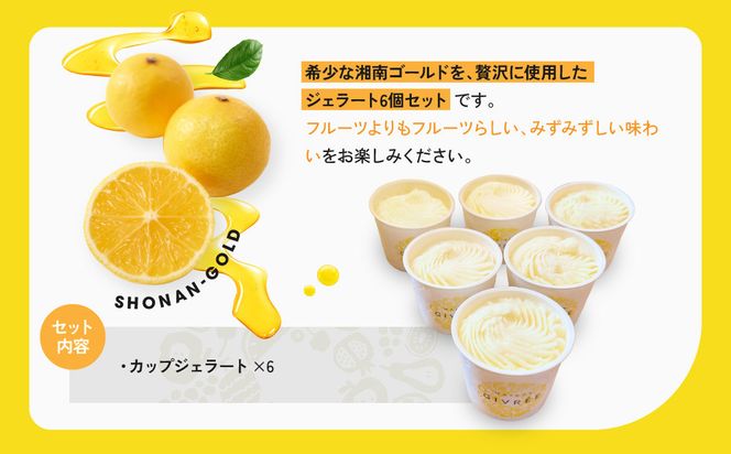 湘南ゴールドジェラート6個セット 142069_HY006（神奈川県小田原市