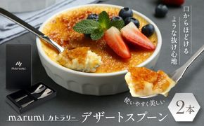 marumiカトラリー デザートスプーン 2本　創業80年 精密加工メーカーの技術から生まれた1本 313726_BX001