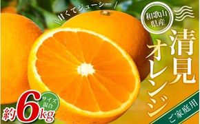 【ご家庭用】手選別 清見オレンジ 約6kg 和歌山県産 2S~2Lサイズ混合※2026年2月上旬～5月中旬頃に順次発送【mrmt038A】