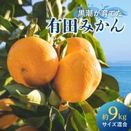 黒潮が育てた 有田みかん 約9kg (サイズ混合)_AE6110