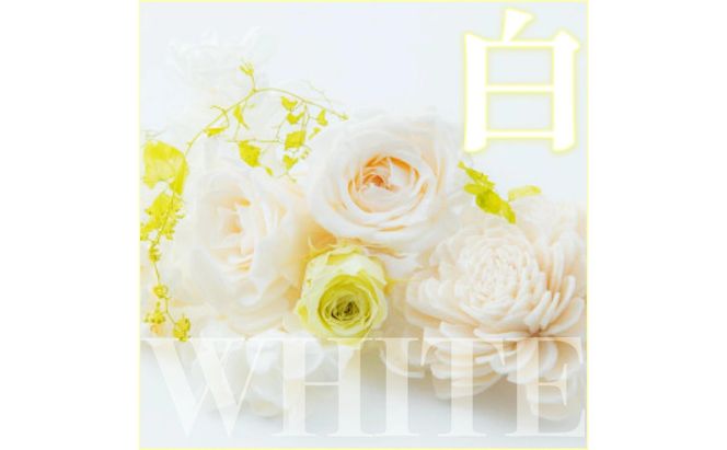 【ガラスケース入り】プリザーブドフラワー【※ご希望の色をお選びください】