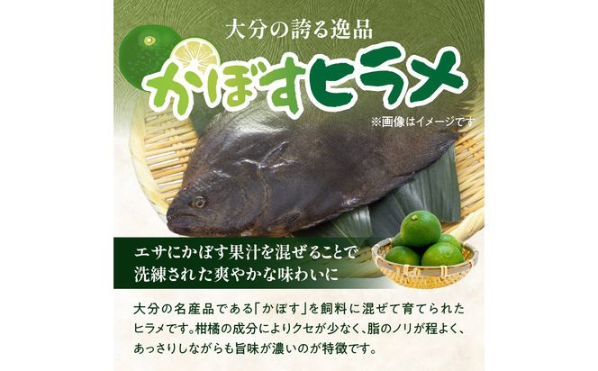 【E22032】かぼすヒラメ うす引き・あら付き