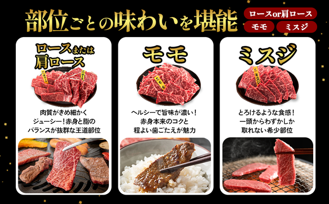 宮崎県産 黒牛 焼肉 赤身 牛肉 焼肉セット ロース 肩ロース モモ ミスジ 3点盛り 840g(280g × 3パック)焼肉用 肉 お肉 牛 国産牛 食べ比べ セット 小分け 真空パック 冷凍 贈答 贈答用 ギフト BBQ アウトドア キャンプ 国産 国産牛 九州 宮崎県 えびの市 