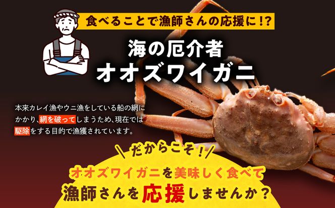 【訳あり】浜茹でオオズワイガニ 2kg 詰めセット 北海道噴火湾産 _HD206-001