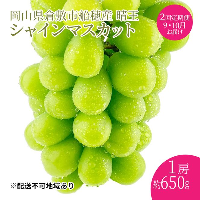 ぶどう 2026年度分 先行予約 【プレミアムシャインマスカット 晴王 1房 約650g 定期便 2回】船穂産　赤秀品以上  岡山県産 葡萄 ブドウ ギフト ハレノフルーツ 皮ごと食べる みずみずしい 