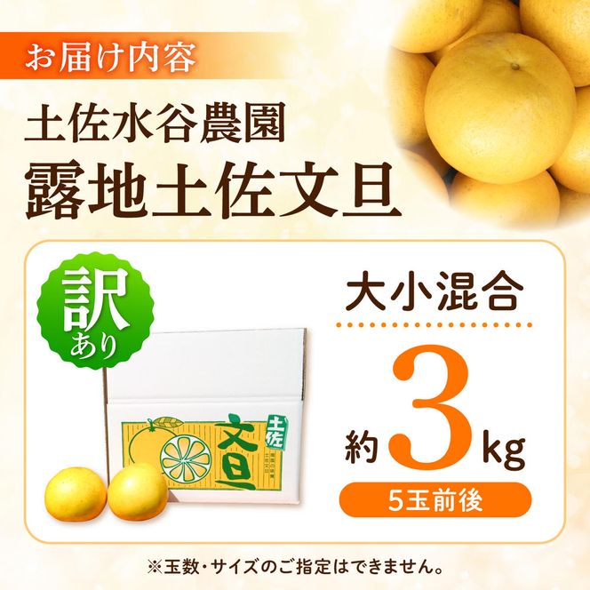 【先行予約】土佐水谷農園の露地土佐文旦 家庭用約3キロ 3kg 大小混合〈2027年1月20日～発送〉フルーツ 柑橘 みかん 果物 くだもの 柑橘類 デザート おやつ 訳あり わけあり【土佐水谷農園】 [BQBD005]