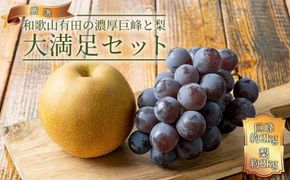 農家直送 和歌山有田の朝採り 巨峰 と 梨 大満足セット［2026年・先行予約］AO023  