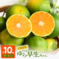 有田みかん 約10kg ご家庭用 和歌山 ゆら早生 極早生 (SS、Sサイズ)【湯浅町】_AT6255n