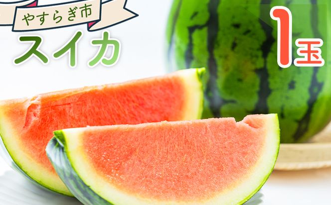 【先行予約】 スイカ １玉 yr-0119