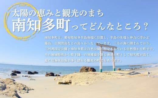 ＜発送月固定定期便＞しらすと天然貝の定期便 全4回 【離島不可】