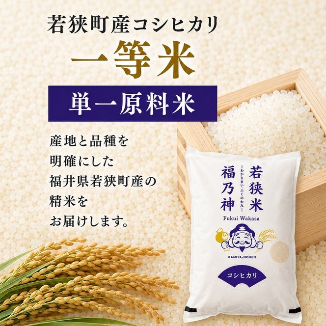 3ケ月連続 福井県若狭町 コシヒカリ （一等米） 5kg（神谷農園） お米 ブランド米 銘柄米 ご飯 おにぎり お弁当 産地直送 和食 主食