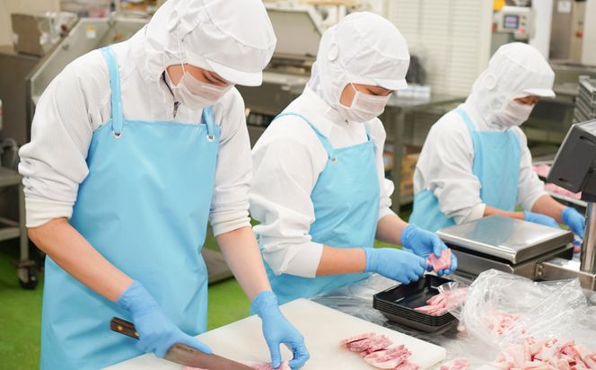 淡路牛 ロース切り落し 750g（250ｇ×3パック）　[小分け 冷凍 牛肉 人気]