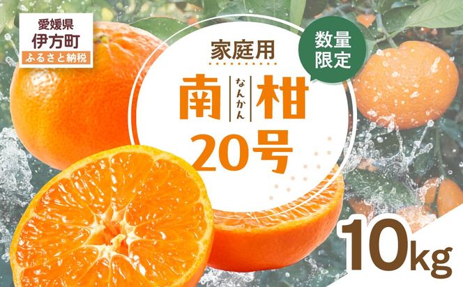 【先行受付】【数量限定】【家庭用】南柑20号（生果）10kg（2026年12月上旬頃より順次発送） IKTQ012