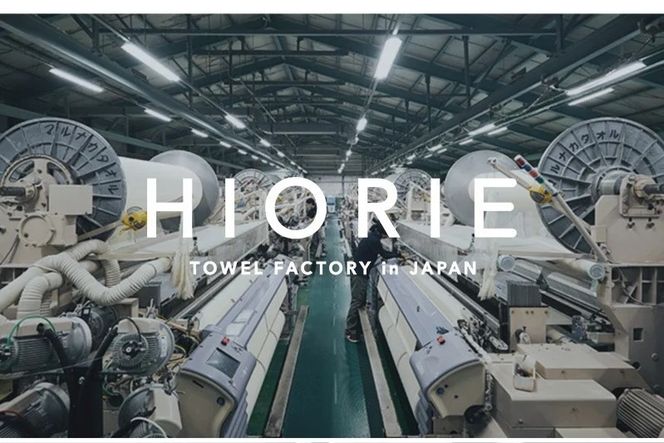 099H1912-1 【スピード発送】ヒオリエ ホテルタオル ビッグフェイスタオル 10枚 ウォームグレー【タオル 泉州タオル 吸水 普段使い 無地 シンプル 日用品 ふわふわ ふかふか 家族 たおる 一人暮らし スピード発送】