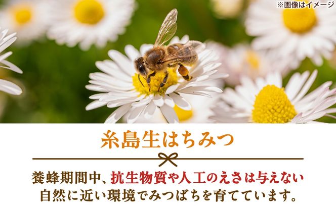 糸島産 生はちみつとくだもの酵素ジャムセット 糸島市 / 糸島げんき工房[AKR006]