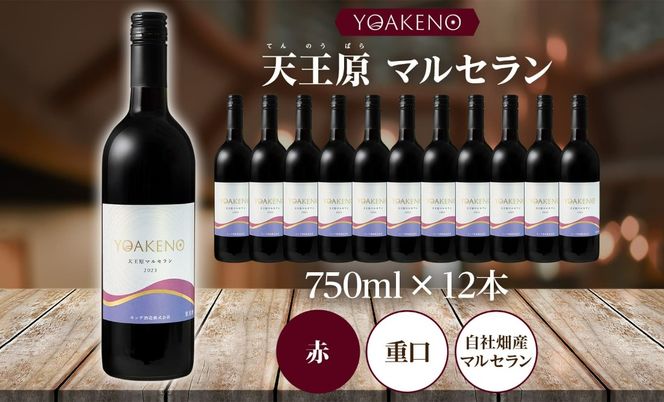 《無地熨斗 対応可》YOAKENO 天王原マルセラン 750ml×12本 177-4-084