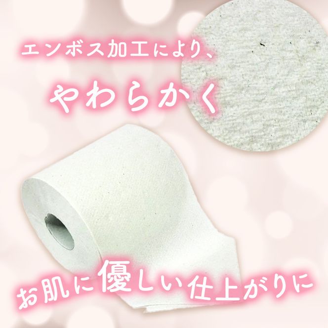トイレットペーパー定期便「包装なしA3」【障がい者支援の返礼品】 雑貨 日用品 生活支援 サポート 