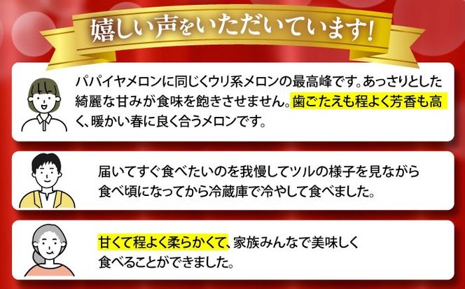 【2025年3月中旬〜発送】【平成新山メロンPREMIUM（とみちゃん厳選）】しらかばメロン 5玉～8玉 約5kg / メロン めろん 果物 フルーツ / 南島原市 / うえだメロン園 [SAD002] 