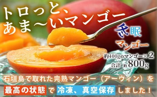 《2026年7月以降発送》最高糖度20度！？ 完熟！3Lサイズ　石垣島産冬眠マンゴー 【 沖縄 石垣 数量限定 フルーツ マンゴー 冷凍 完熟 真空 】TF-17-1_R8