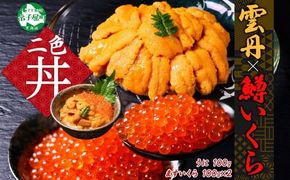 3405. 雲丹 100g 鱒いくら醤油漬け 100g×2個 うに ウニ チリ産 冷凍 いくら イクラ ます マス いくら醤油 お取り寄せ 魚卵 海鮮丼 二色丼 海鮮 寿司 送料無料 北海道 弟子屈町