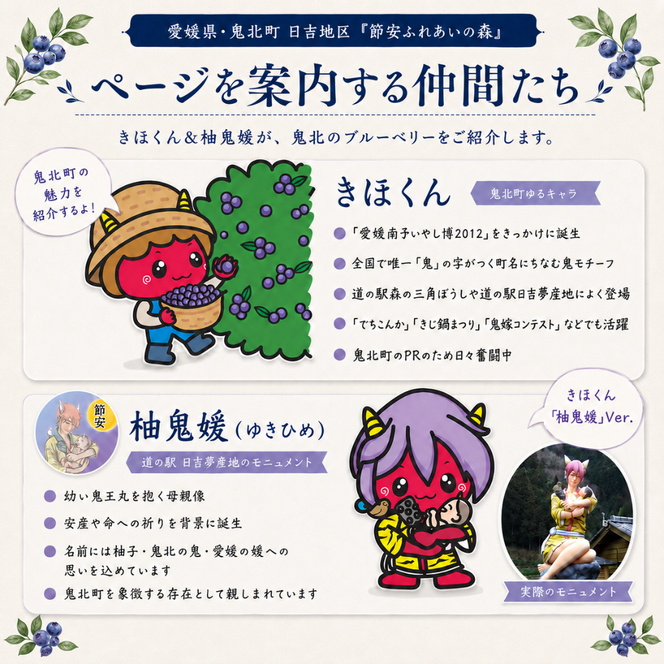 【先行予約】【選別済み大粒】冷凍ブルーベリー900g（150g×6P） | 選別済み 大粒 国産 個包装 小分け 冷凍 鬼北町直営農園 果実 フルーツ 果物 くだもの 朝食 ヨーグルト　鬼北町役場 日吉支所 愛媛県 ※2026年8月～発送
