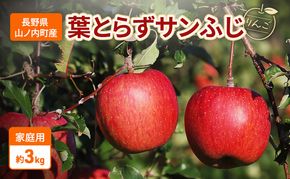 【2026年11月～発送】りんご 先行予約 家庭用 葉とらず サンふじ 約 3kg フルーツ 果物