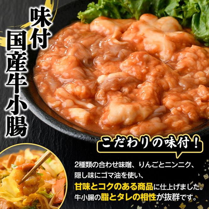 ＼テレビで紹介されました！／国産牛ホルモン2種セット(合計2kg) 国産 特産品 牛 小腸 味付 パック 詰め合わせ 詰合せ 炒め物 鍋 モツ おかず お弁当【スターゼン】akn031-01