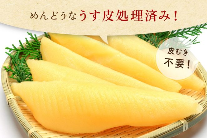 【年内配送　年内発送　北海道】塩数の子【うす皮むき】600g　1本物（大サイズ）ポリポリ食感がクセになる！　お正月　人気　魚卵　高級　ごはんのお供 惣菜 おかず 珍味 海鮮 海産物 魚介 魚介類 おつまみ つまみ 本チャン かずのこ カズノコ 株式会社やまか 皮むき おせち　R001-018
