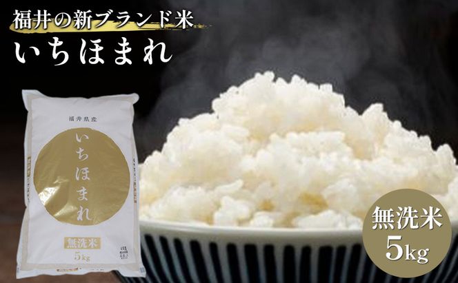 無洗米 いちほまれ5kg（令和7年産）福井の新ブランド米 お米 白米 精米 名作 粒感 粘り 絶妙 優しい 甘さ